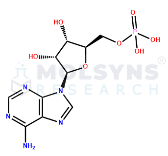 Adenosine 5''-Monophosphate