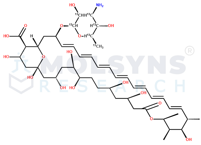 Amphotericin B-13C6